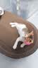 【京东物流】猫抓板磨爪猫窝一体耐磨不掉屑超大号猫玩具猫咪用品 椭圆巨无霸+猫薄荷 实拍图