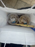 晨光（M&G）绿晨光 A470g多功能双面打印纸A4 复印纸白色 500张/包 5包/箱 整箱2500张 APY61AF9 实拍图