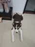 来旺兄弟宠物剃毛器狗狗四合一猫咪剃脚毛推子电动磨甲修毛充电款 实拍图