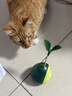 HELLOJOY猫玩具自嗨解闷逗猫棒不倒翁漏食球猫薄荷宠物猫玩的猫咪用品大全 实拍图