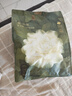 babycare山茶花一次性内裤女孕产妇日抛待产出差旅行XL码15条【安全灭菌】 实拍图
