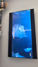 TCL电视 65T7L Ultra 65英寸【回音壁套装版本】QD-Mini LED 蝶翼星曜屏 万象分区 绚彩XDR 超薄 实拍图