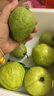 探味君 广西红心芭乐番石榴 新鲜水果生鲜健康轻食带箱 软糯红白双拼芭乐净重3斤（优选装） 实拍图