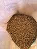 德沃多 麦饭石(3-5mm)2.5kg 花盆垫底拌无土栽培基质花卉多肉养花铺面石 实拍图