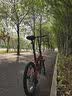 大行（DAHON）折叠自行车20寸8速男女折叠车P8青春版KAC081 消光红 实拍图