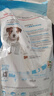 皇家狗粮 幼犬狗粮 宠物 小型犬 MIJ31 全价犬粮 2-10月 2KG 实拍图