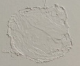 三棵树漆墙面修补膏防霉抗菌白色墙面去污修复腻子粉膏墙皮脱落防水补墙膏 实拍图