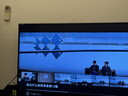 五亭桥 【狮子头】(常温发货）桥狮子头扬州特产4只装手工斩肉熟食肉圆 240g原味狮子头（袋装） 实拍图