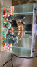 寿禾 雨花石鹅卵石七彩石鱼缸造景装饰景观石子 500g雨花石0.8-1.5cm 实拍图