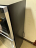 志高消毒柜家用立式消毒碗柜小型免沥水商用家用家庭碗筷柜单门双门大容量 168型 臭氧+红外线+沥水盘 免沥水 实拍图