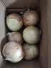 新鲜黄洋葱黄金水果洋葱即食蔬菜调料烧烤食材 新鲜黄洋葱 4斤 含箱 实拍图