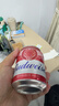 百威啤酒mini红罐淡色拉格255ml*12小罐整箱装京东自营喜酒踏春送礼 实拍图
