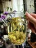 高茗（gaoming） 仿宋茶壶小早执壶耐热茶具泡绿茶器透明小号醒酒壶玻璃壶 小早壶300ml 实拍图