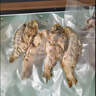 达派（dapai）德国真空封口机家用商用干湿两用全自动抽真空包装真空食品保鲜机塑封机抽腊肉真空封口 15*25CM（50片装） 实拍图