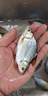 雷达（Raid）电热蚊香液 168晚3瓶装 +1无线加热器无香型 驱蚊用品 实拍图