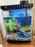 疯狂水草天然贝壳海螺适配小米鱼缸造景水族箱全套布景海星装饰生态摆件 溪流缸造景套餐（适合20-30cm鱼缸） 实拍图