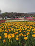施华蔻（Schwarzkopf）怡然摩丝染发霜2.0青黛自然黑 泡泡染发剂黑色盖白发热卖商品 实拍图
