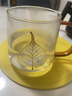 雅集耐热玻璃茶杯茶水分离泡茶杯办公室茶道喝茶杯子一叶菩提杯500ml 实拍图