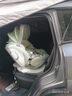 ledibaby乐蒂宝贝婴儿童安全座椅0-6-12岁汽车用宝宝座椅车载可坐躺新国标 新品 太空舱ProS智能版【曼波绿】 实拍图