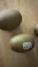 佳沛（zespri）新西兰 阳光金奇异果12粒特大果单果124-146g 猕猴桃水果礼盒 实拍图