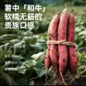 飞兹(fizz)6只6色装A4双层加厚按扣文件袋资料袋试卷收纳袋机械锁边防水档案袋办公用品FZ103002 实拍图