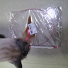 憨憨乐园猫玩具逗猫棒幼小猫猫咪磨牙玩耍耐咬互动自嗨玩具神器宠物用品 实拍图