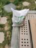 花美诺营养土养花通用型花土种花土壤大包50斤盆栽花卉种植土有机肥料 通用营养土100斤添加生根粉多菌灵 实拍图