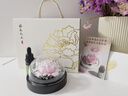 Para Ella永生花陶瓷牡丹生日礼物女朋友伴手礼妈妈结婚毕业退休520情人节 实拍图