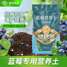 德沃多蓝莓专用营养土15L园艺种菜土壤绿植盆栽花土果蔬种植土 实拍图