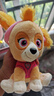汪汪队立大功（PAW PATROL）毛绒玩具狗狗玩偶经典款天天小号坐姿公仔男女孩六一儿童节礼物 实拍图