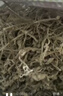 同仁堂品牌 北京同仁堂莓茶50g芽尖莓茶显齿蛇葡萄叶润咙喉咽 高黄酮 实拍图