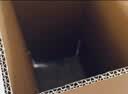 惠象 快递纸箱收纳纸箱5号箱 29*17*19cm 三层特硬快递邮政搬家纸箱-10个/包 实拍图