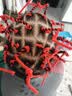 忆丝芸烫发药水男士烟花烫发冷烫女自己烫全套工具烟花定位烫自己在家 实拍图