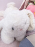 名创优品（MINISO）塔尼兔系列趴姿公仔毛绒玩具玩偶兔子娃娃抱枕生日礼物儿童节礼物 实拍图