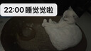 金宠仕狗狗电推剪宠物剃毛器理发器电推子宠物店专用大功率银色LED款 实拍图