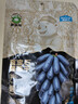 跳跳熊新疆蓝宝石葡萄干258g 超大粒果干免洗即食休闲零食 实拍图