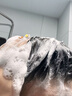 维特丝防脱洗发水生姜固发侧柏叶育控油去屑持久蓬松洗头膏露男女士专用 实拍图