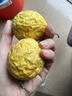 京喜加广西钦蜜9号黄金百香果青果发货当季新鲜大果黄皮果奶茶店水果 【大果3斤净重2.8斤】约16-20个单果60-70g 实拍图