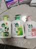 滴露（Dettol）洗手液抑菌滋润茉莉绿茶500g 儿童洗手液消毒 滋润护手米奇米妮版 实拍图