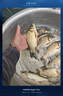 小凤仙夜光漂咬钩变色高灵敏度超亮醒目日夜两用鲫鱼电子漂野钓轻口渔具 L-DL02-2 综合鲫鲤 吃铅约2.2g 夜光款(不变色) 实拍图