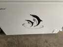 荣事达（Royalstar）小冰柜家用小型冷冻保鲜迷你冷藏商用卧式冷柜单用储母乳柜节能省电 【高性价比 节能省电】单温 330L 实拍图