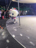 LP768CN专业运动护踝崴脚扭伤加压防护固定护具篮球跑步羽毛球男女L 实拍图