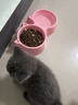 麦富迪猫粮 超肉粒冻干双拼奶糕离乳猫粮呵护免疫 冻干蛋奶2kg 实拍图