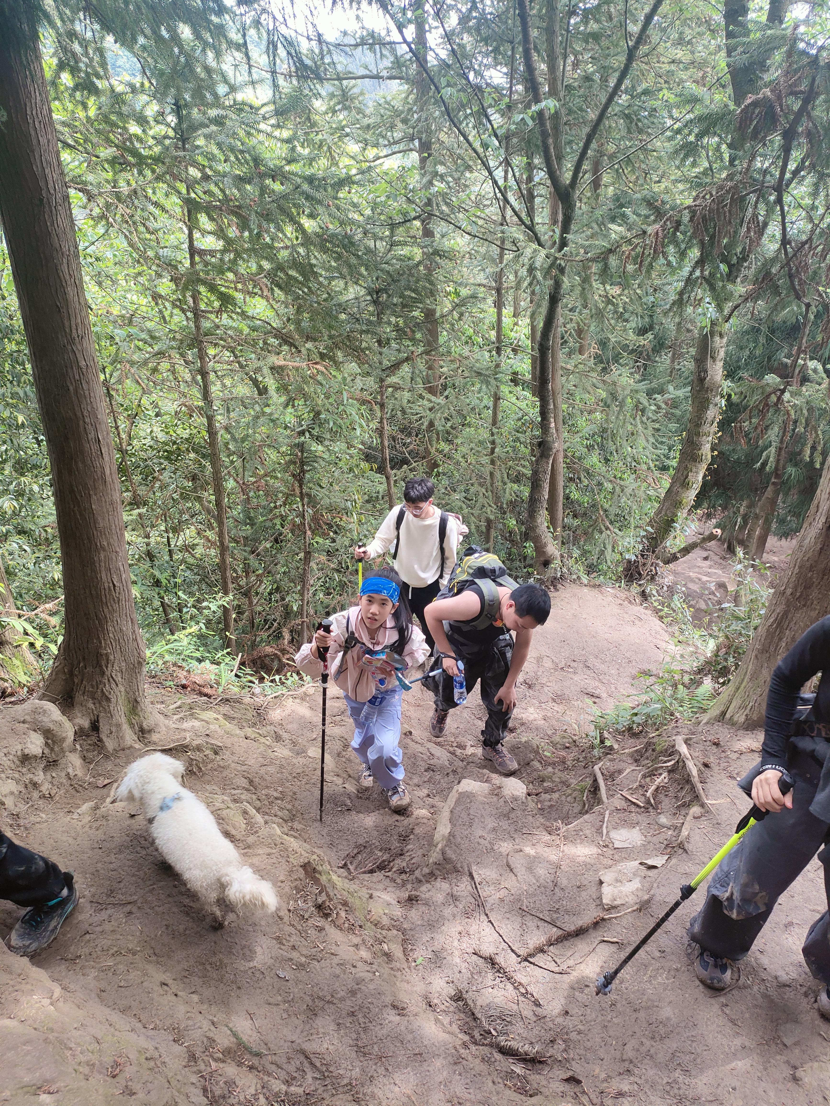 回力女鞋夏季透气登山鞋百搭厚底增高老爹鞋 灰/棕 36/尺码偏大半码 实拍图