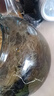 全度玻璃提梁壶家用小型电陶炉煮茶器烧水壶大容量保温玻璃茶壶 提梁壶（烟灰色）+康米电陶 实拍图