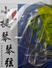 阿萨斯小提琴通用琴弦套弦小提琴初学练习考级专用琴弦一套4根演奏款 实拍图