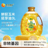 西王 食用油 玉米胚芽油鲜胚3L 非转基因物理压榨 实拍图