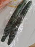 长黄瓜约600g 实拍图