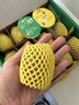 佳沛（zespri）新西兰 阳光金奇异果12粒特大果单果124-146g 猕猴桃水果礼盒 实拍图