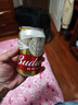 百威啤酒经典纯生330ml*24听整箱装新旧包装随机京东自营踏春送礼 实拍图